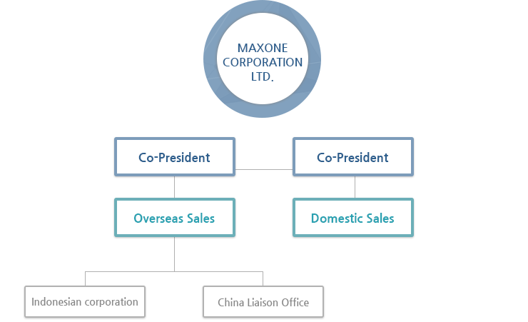 MAXONE CORPORATION LTD. -  Co-President (Overseas Sales :Indonesian corporation ,China Liaison Office Co-President (Overseas Sales)