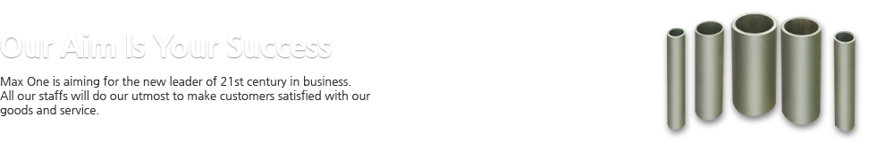 Our Aim Is Your Success Max One is aiming for the new leader of 21st century in business. All our staffs will do our utmost to make customers satisfied with our goods and service. 