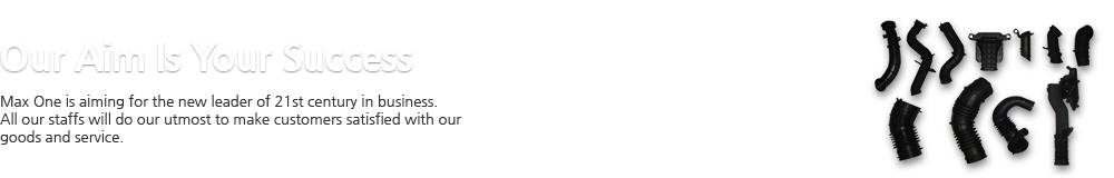Our Aim Is Your Success Max One is aiming for the new leader of 21st century in business. All our staffs will do our utmost to make customers satisfied with our goods and service. 